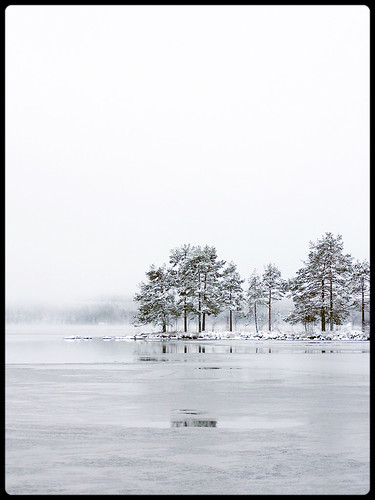 winter white landscape vinter landskap värmland olympusc750uz astunningmoment wiobw