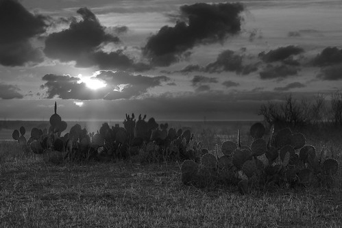 sunset cactus bw cloud monochrome rural texas fayetteville lagrange canonrebelxti