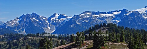 trees plant canada mountains tree nature grass forest landscape hiking hike cannon fields atmosphericperspective garibaldiprovincialpark