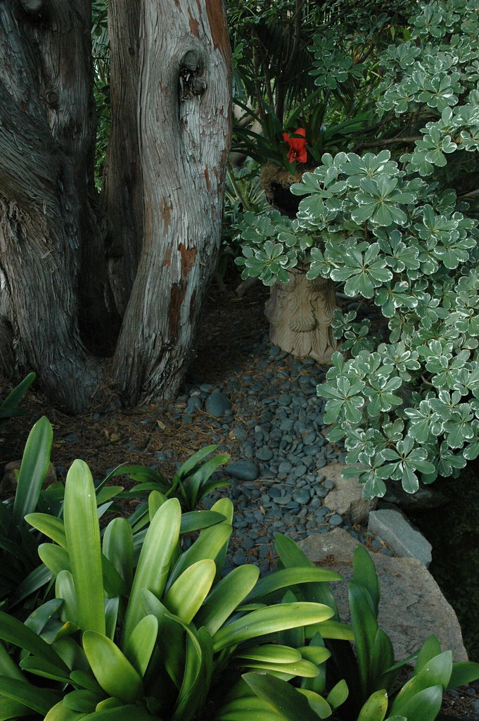 Meditation Garden Self Realization Fellowship Encinitas Flickr