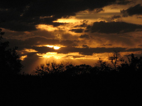 sunset clouds us texas brush brushland lomita