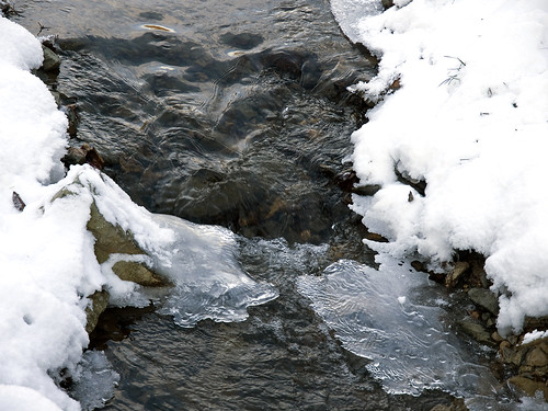 schnee winter snow ice nature creek season jahreszeit natur bach eis bergischgladbach lerbach olympuse3