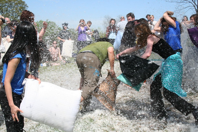 international pillow fight day, freedom park edition