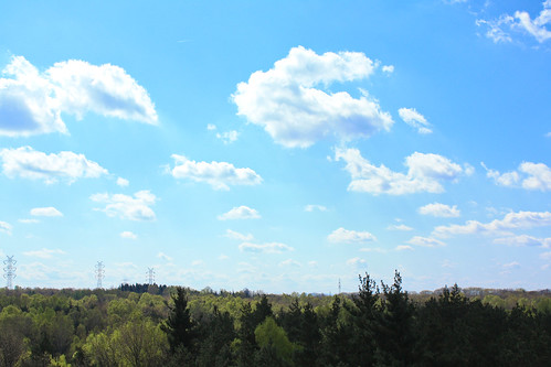 sky clouds forest canon geotagged spring poland katowice silesia slask 450d geo:lat=50216925 geo:lon=19073038