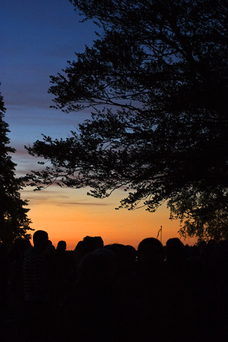 sunset sky tree silhouette mywinners