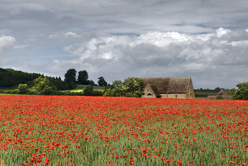 red sky cloud flower barn great poppy poppies oxfordshire coxwell tithe