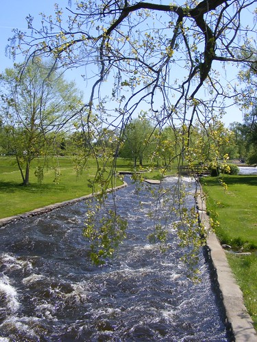 park river albion