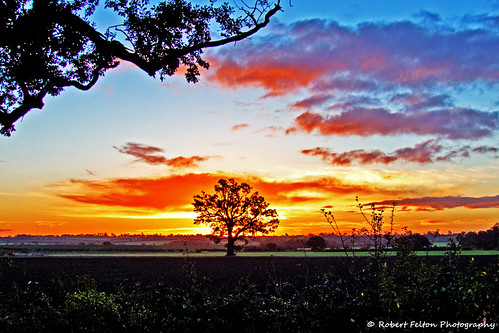 light sun tree silhouette sunrise bedford bedfordshire felton rise cardington robertfelton eos7d