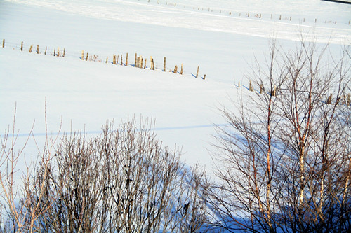 canada canon eos 350d quebec québec neige paysage arbre champ anawesomeshot batk