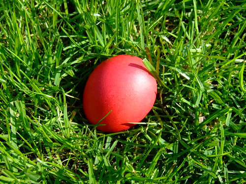 red green easter egg meadow f30 gras ostern 2009 photodomino767