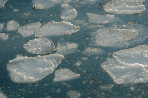 harbor ice