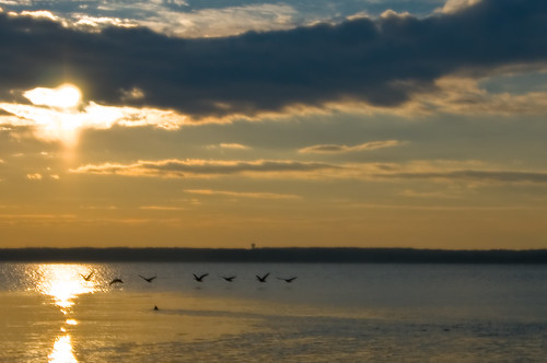 statepark sun water weather clouds reflections virginia geese ducks wideangle potomac leesylvania