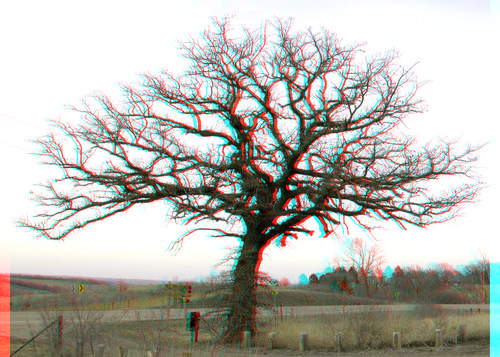tree rural stereoscopic stereophoto 3d spring farm rustic anaglyph iowa structure redcyan 3dimages 3dphoto 3dphotos 3dpictures floatingwindow