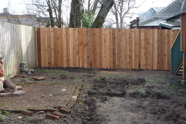 New Fence: South Side
