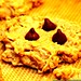oatmeal peanut butter cookies    MG 6812