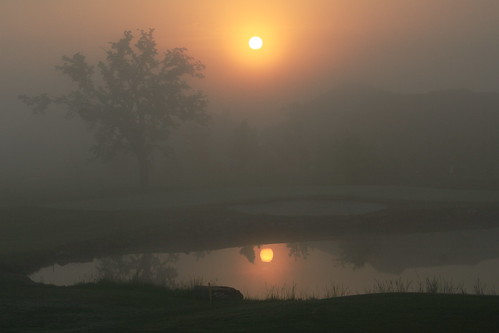 reflection fog sunrise