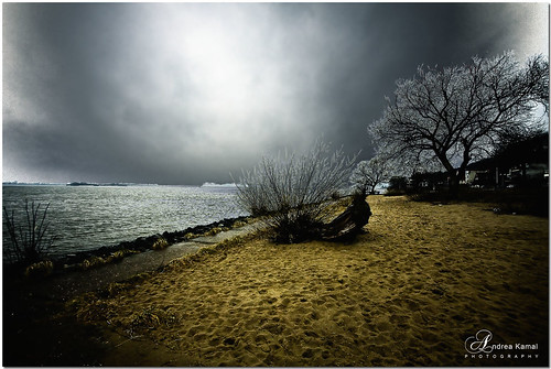 trees sky cold beach clouds river sand wind hamburg windy elbe blankenese strandweg aplusphoto —obramaestra—