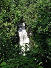 Bushkill Falls (P1010184)