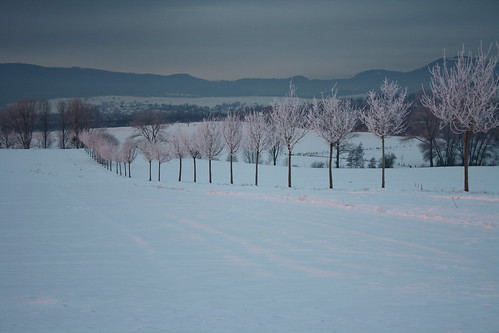 schnee winter snow sunrise germany sonnenaufgang vellmar espenau moenchehof