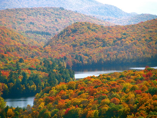 autumn trees color leaves america landscape vermont middlebury foliage salisbury