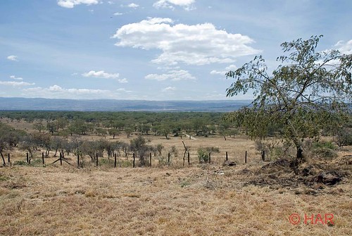 africa nature animal landscape nikon wildlife reserve safari nakuru lakenakuru d80 lakenakurulodge