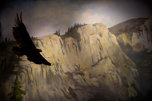 cliff mountain bird animal wings mural flight taxidermy vulture manteca bassproshops outdoorworld fliying