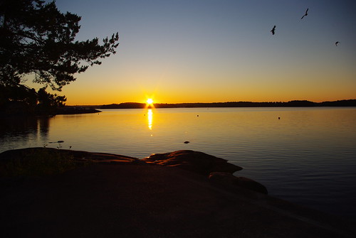 sky sun bird water birds sunrise pentax sweden dalsland åmål k200d
