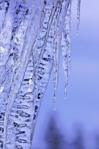 winter tree window thüringen thuringia icicle deesbach