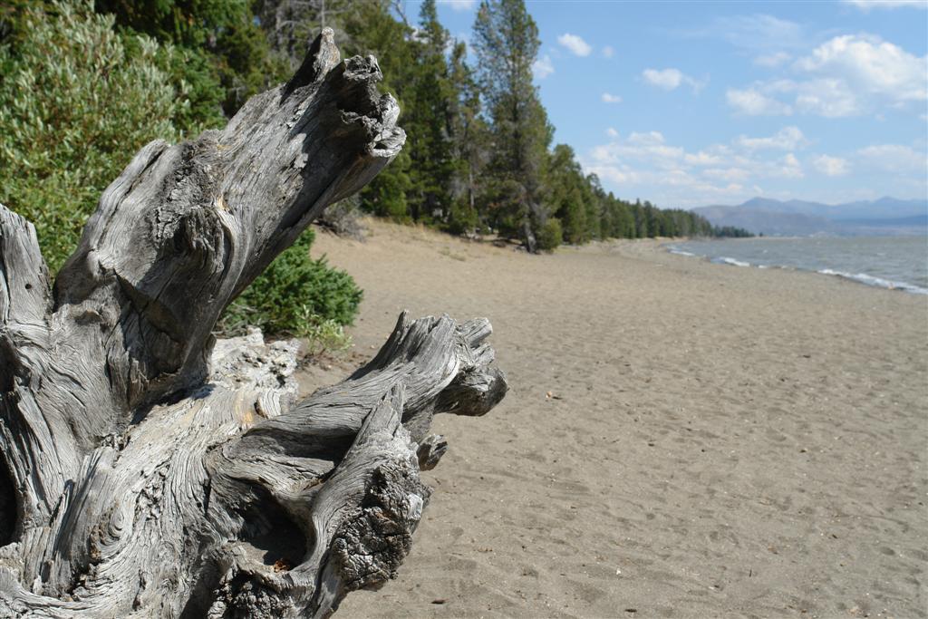 Playa en Yellowstone Lake