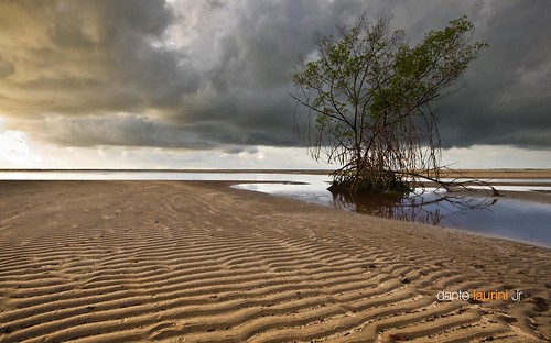 ocean sunset brazil textura praia beach rio brasil sunrise mar sand nikon ripples lowtide pernambuco encontro mangue tamandaré sigma1020 marébaixa dantelaurinijr
