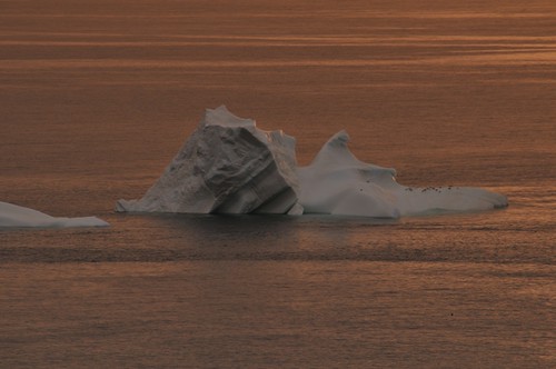 newfoundland labrador iceberg twilligate