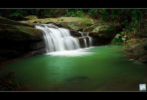green canon waterfall pond au australia queensland cascade canonef1740mmf4lusm buderim buderimfalls buderimforestpark 5dmkii