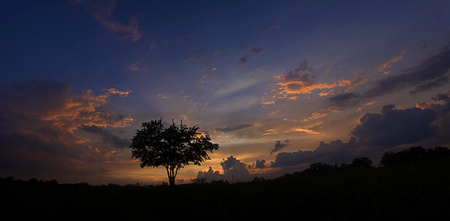 blue sunset panorama orange tree colors silhouette clouds one evening spring alone colours panoramic goodnight relaxation aftertherain photostitch thetree mattgerlachphotography betweenthestorm