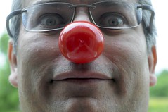 129/365-sp: red nose - Photo of Arrou