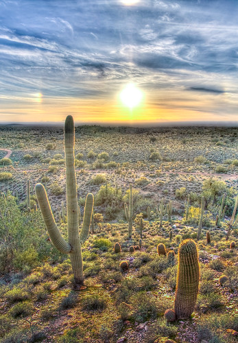 sunset arizona cactus sky west geotagged spring sundown quartz sundog florencejunction vertorama reymert hdrealism