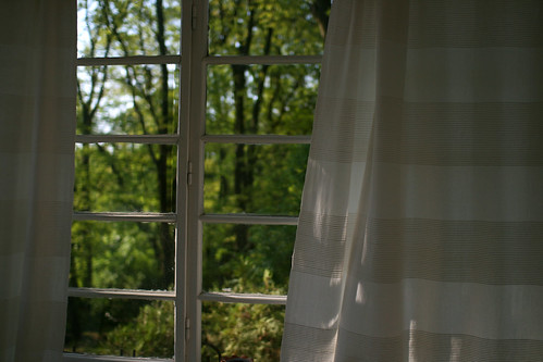 wood morning light sunlight white detail tree green window glass lines forest wooden hungary view background curtain country peaceful indoor explore vista through moment idyll goodmorning exploration magical idyllic linear realism hungarian 30mm contryside sonofsteppe pusztafia káptalanfüred