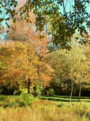 autumn landscape connecticut coventry eagleville johnjmurphyiii