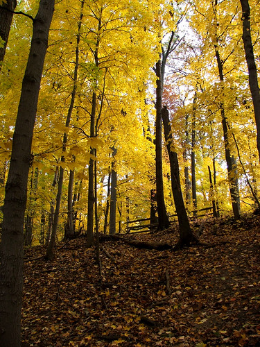 autumn ohio nature toledo metroparks swancreek