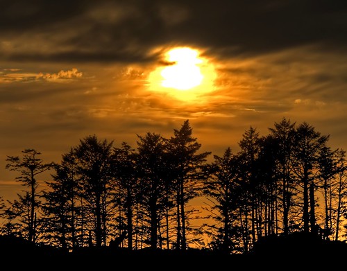 leica sunset canada silhouette lumix britishcolumbia explore vancouverisland ucluelet contrejour wildpacifictrail dmcl10