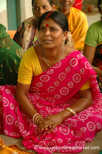 india rural women village microcredit microfinance westbengal dpn siliguri gairkata