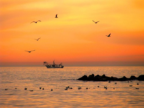 sunset sea beautiful sunrise canon boat barca tramonto mare alba seagull gabbiani flickrdiamond sx100is