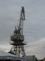 Port Crane