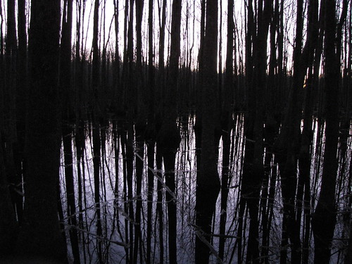 statepark park wood old travel trees light usa reflection nature water silhouette canon landscapes scenery moody view nightshot state south country peaceful powershot historic swamp haunting arkansas tranquil louisianapurchase sx10is waltphotos