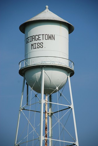 mississippi watertower georgtownms