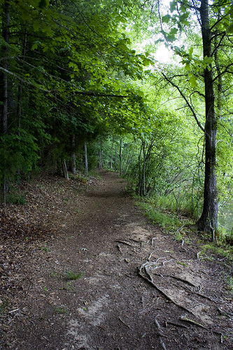 park morning cane creek forest nc woods foggy northcarolina trail hdr waxhawnc canecreekpark ghholt
