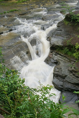 waterfall wny eriecounty coldon