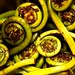 macro fiddlehead ferns    MG 3601