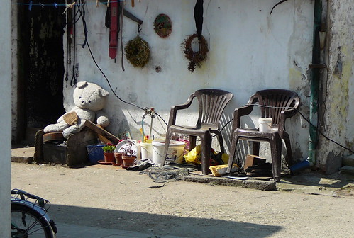bear teddybear dooryard vanagram