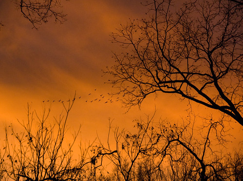 sunset orange waco flockofbirds cameronpark brazosriver