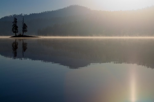 park trees mist lake reflection silhouette lens dawn national flare volcanic snag lassen